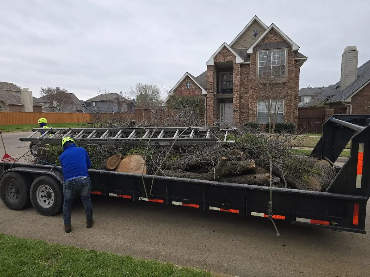 Expert Crown Reduction with proper safety equipment in Pickerington